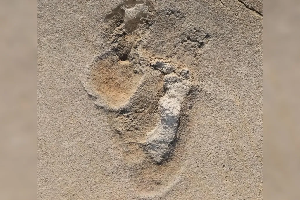 Oldest Footprints