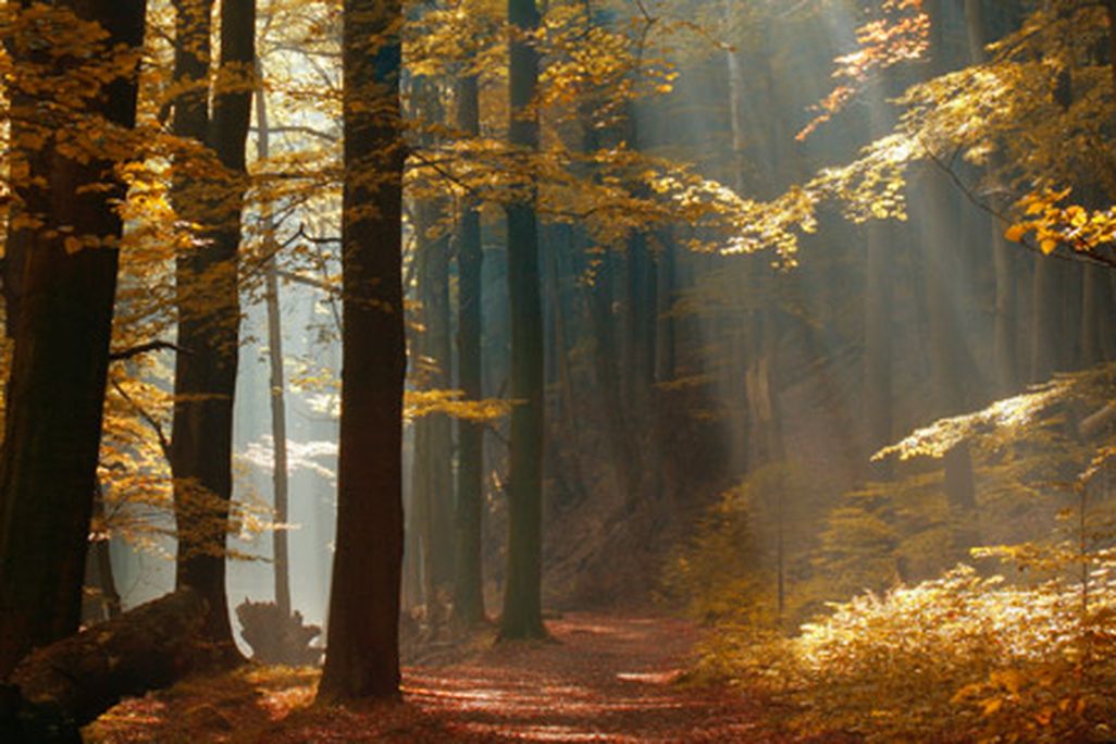 ecocenter-land-631-new.jpg