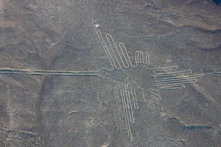 This geoglyph, previously identified as a hummingbird, actually depicts a hermit, a subgroup of hummingbird known to live in the forested regions of northern and eastern Peru