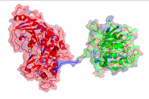 Super enzyme breaks down plastic