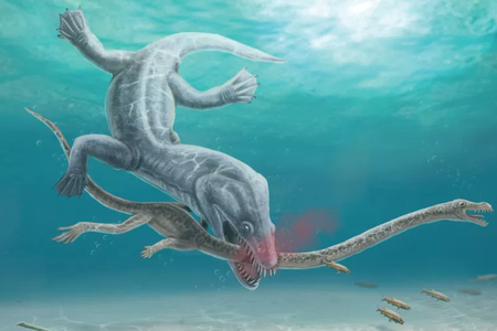 An illustration of a predator decapitating&nbsp;Tanystropheus hydroides