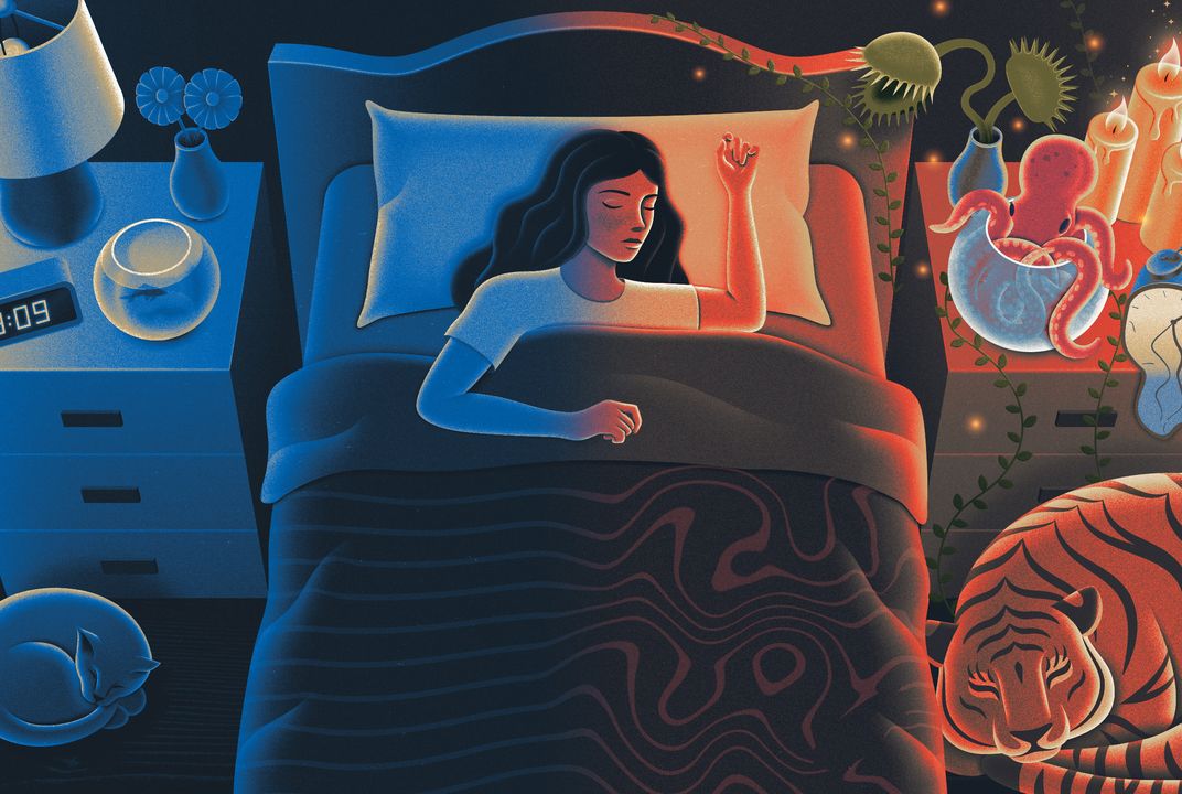sleeptransitions-