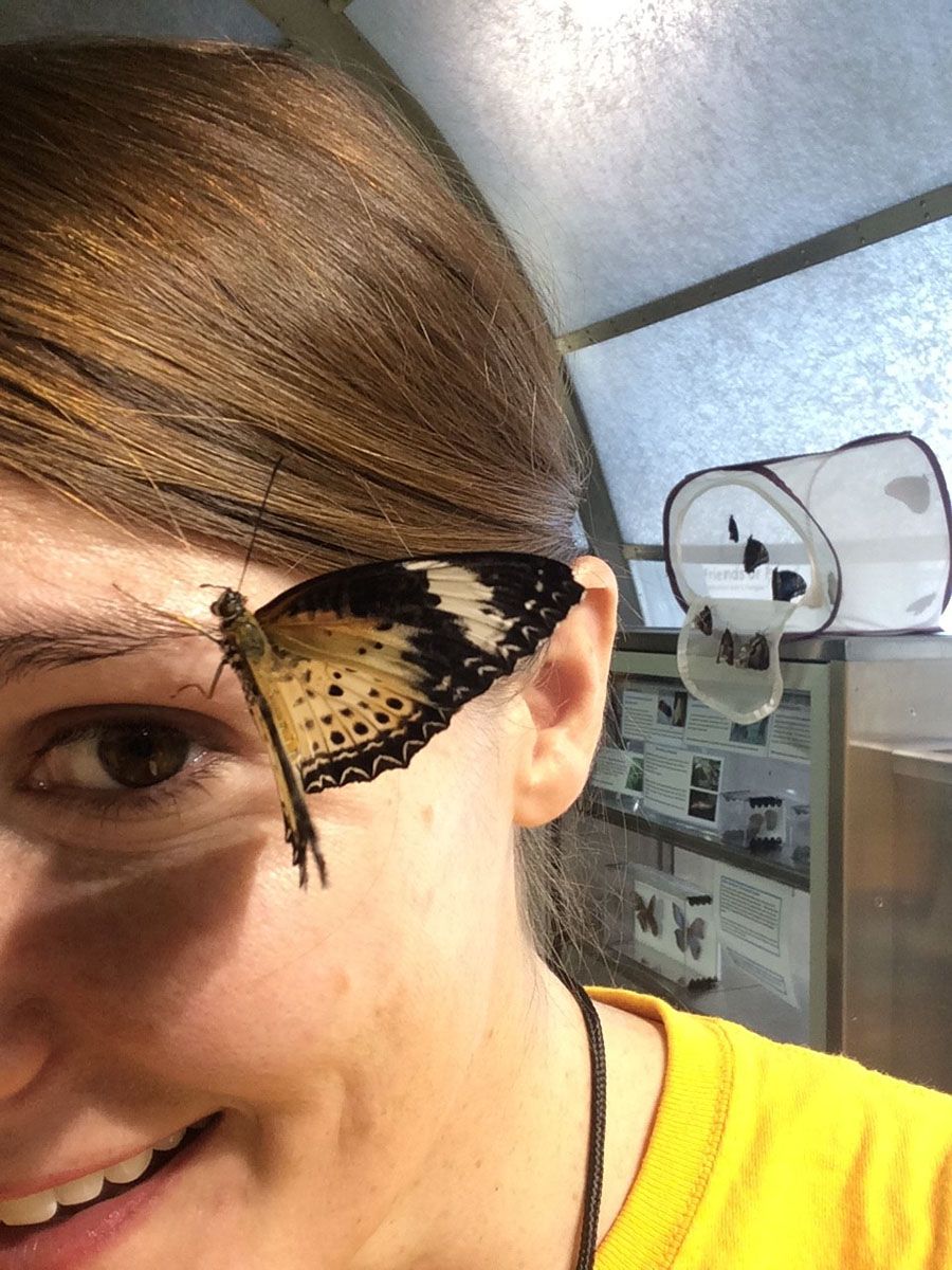 My sweaty forehead is helping supply this butterfly with nutrients. 