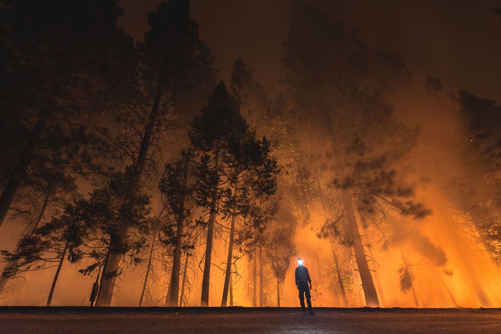 King Fire Self Portrait