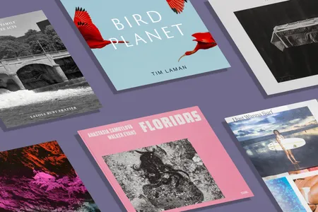 This year's list includes Bird Planet, Floridas, I Just Wanna Surf and more.