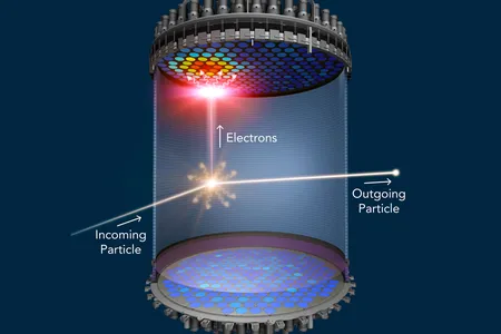 In the heart of a new dark matter detector, LUX-ZEPLIN (LZ), a 5-foot-tall detector filled with 10 tons of liquid xenon, will search for hypothetical dark matter particles to produce flashes of light as they traverse the detector.