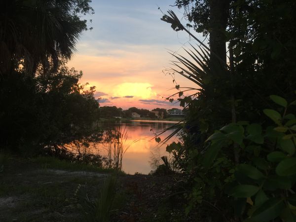 A beautiful sunset peaking through a roadway in St. Petersburg Florida. thumbnail