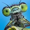 See Ten Creepy-Crawly Portraits From the Insect Week Photography Contest icon