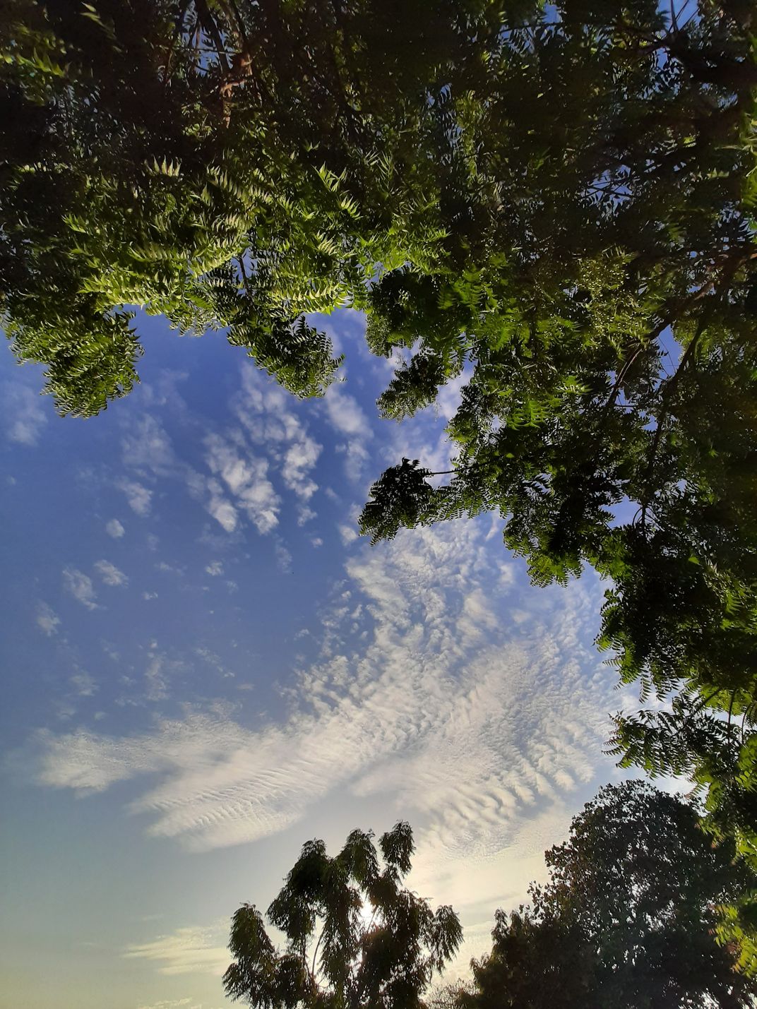 A stare at the sky Smithsonian Photo Contest Smithsonian Magazine