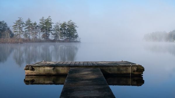 Foggy Morning in Maine thumbnail