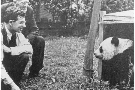 David Graham, rear, with John Tee-Van, front, with one of the young pandas.
