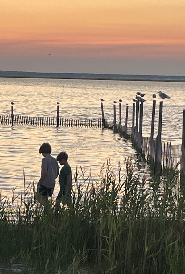 2 boys walking along the bay at sunset thumbnail