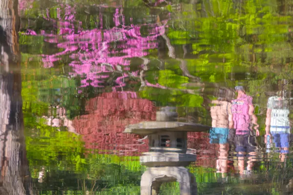 Underwater Japanese Garden thumbnail
