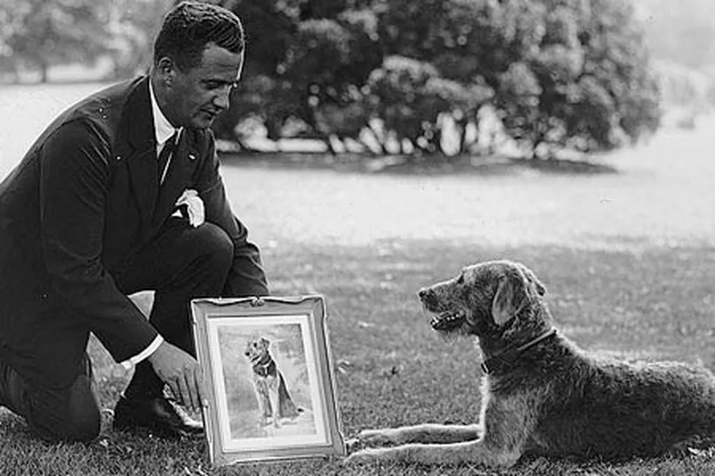 Laddie Boy with silver portrait