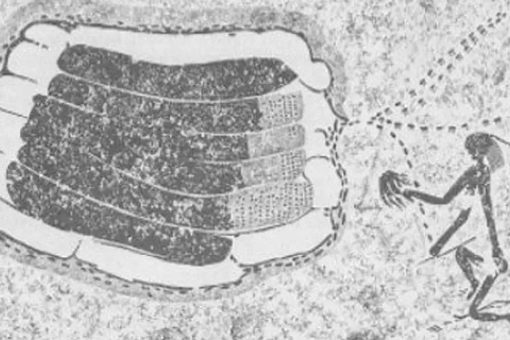 This ancient rock painting from Zimbabwe depicts a person smoking out a beehive.