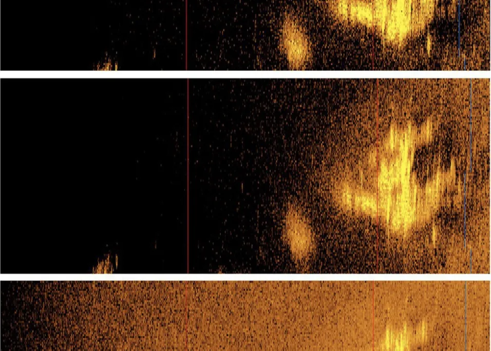 sonar image of a plane-like object