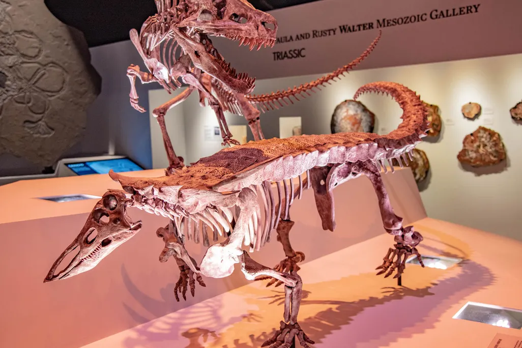 Postosuchus and Desmatosuchus