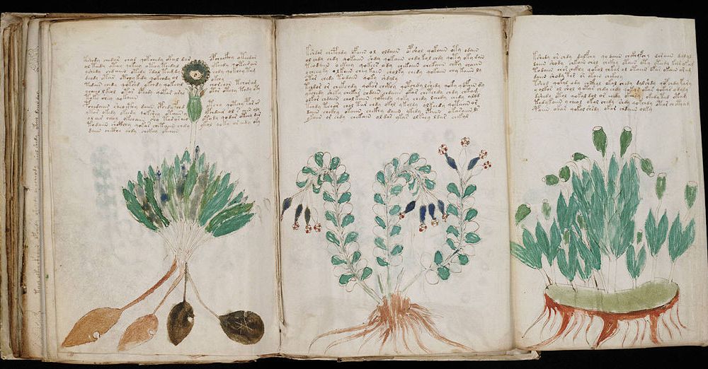 Voynich Manuscript