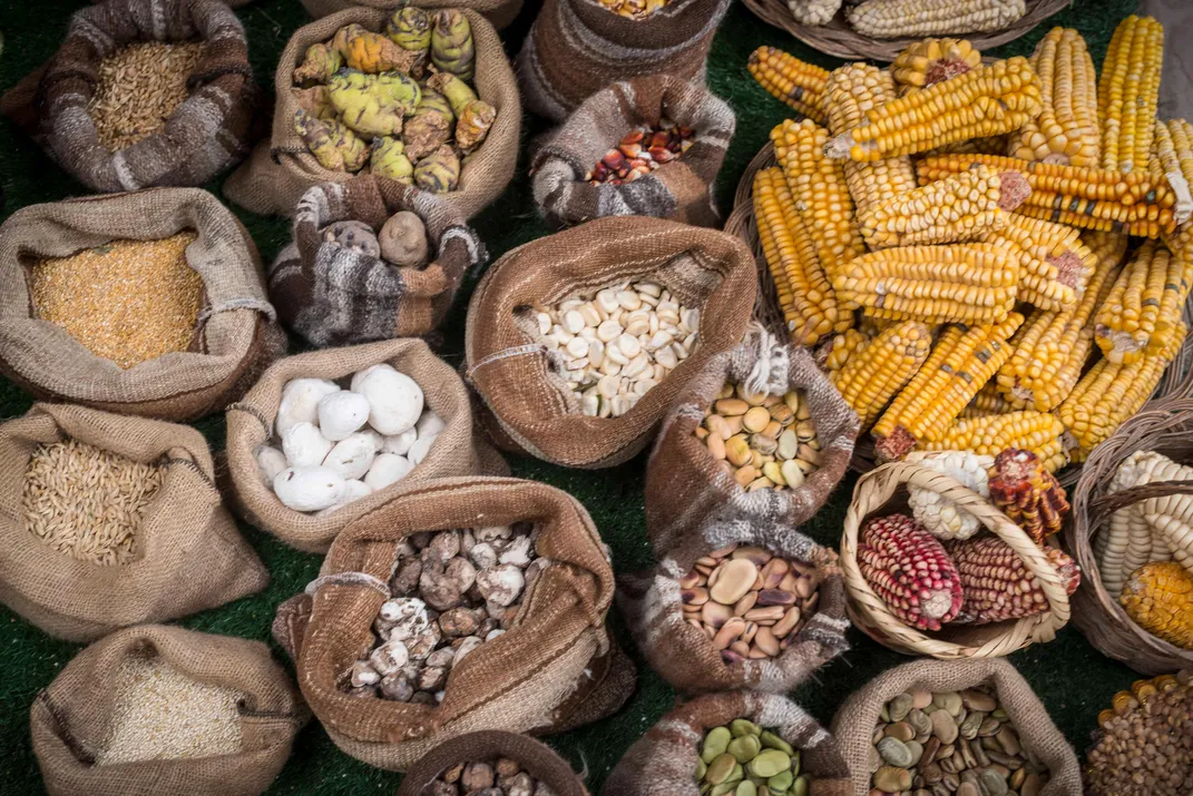 Traditional Peruvian culinary ingredients. Credit: Richard Stanoss
