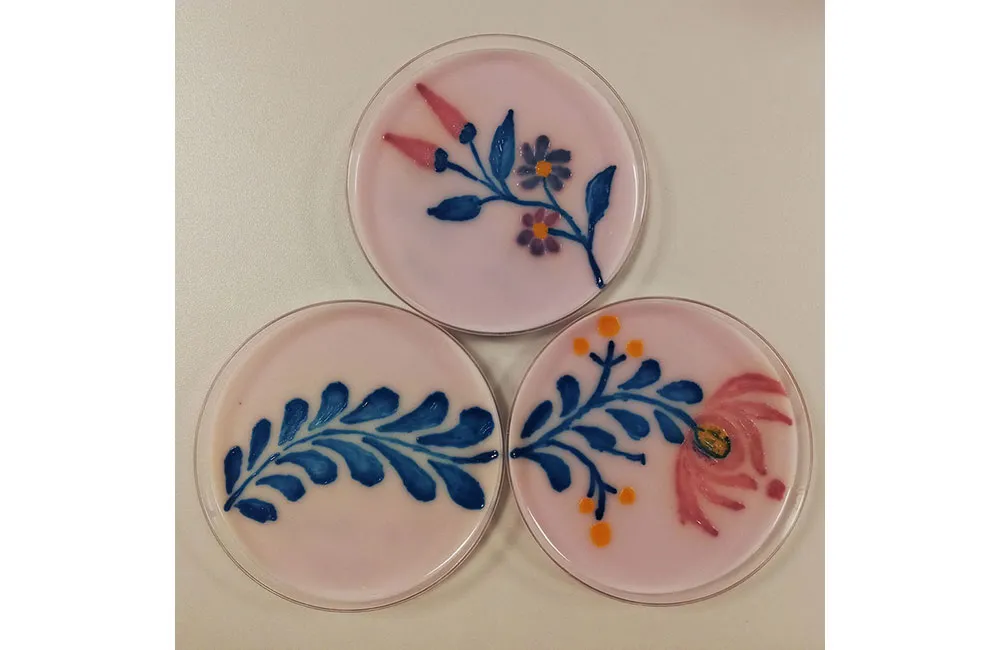 Agar Art Hungarian