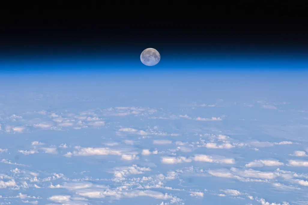 Moon Squashed