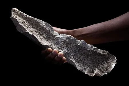 A bone tool shaped on a 1.5-million-year-old elephant humerus