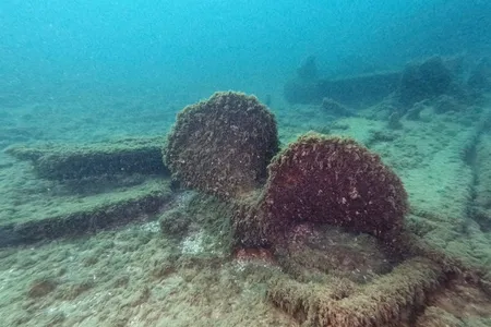 Underwater photos revealed the John Evenson&#39;s giant propeller.