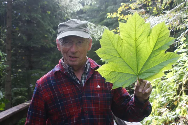Canadian man proud of his big "maple" leaf flag thumbnail