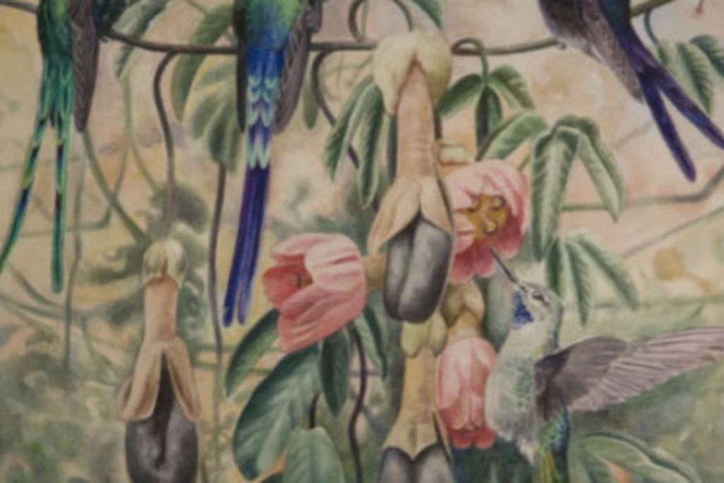 prettybirds.jpg