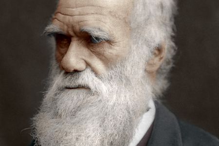 Charles Darwin: sailor, scientist, beard aficionado.