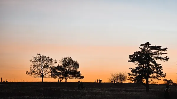 Big Meadows Sunset Glow thumbnail