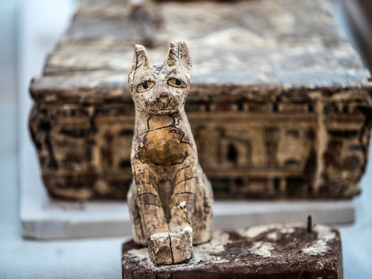 Archaeologists Reveal Rare Mummified Lion Cubs Unearthed in Egypt, image size:1280x960