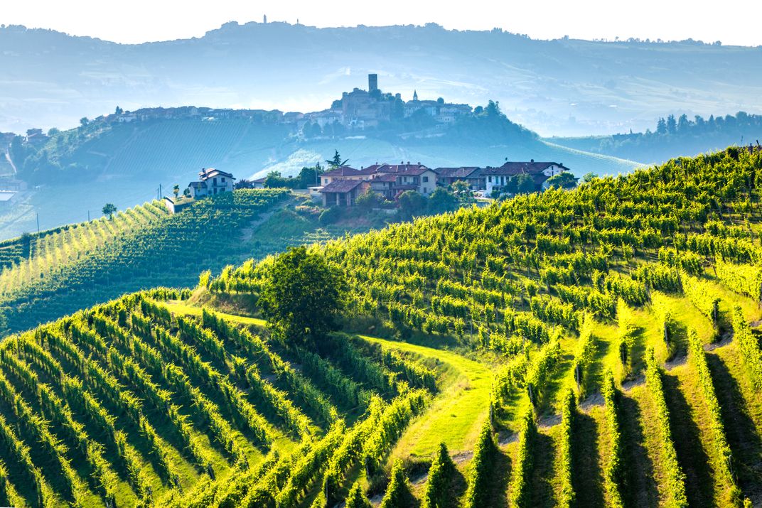 The World-Heritage listed vineyards of Langhe
