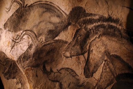 Stone-age cave paintings from the Chauvet cave.
