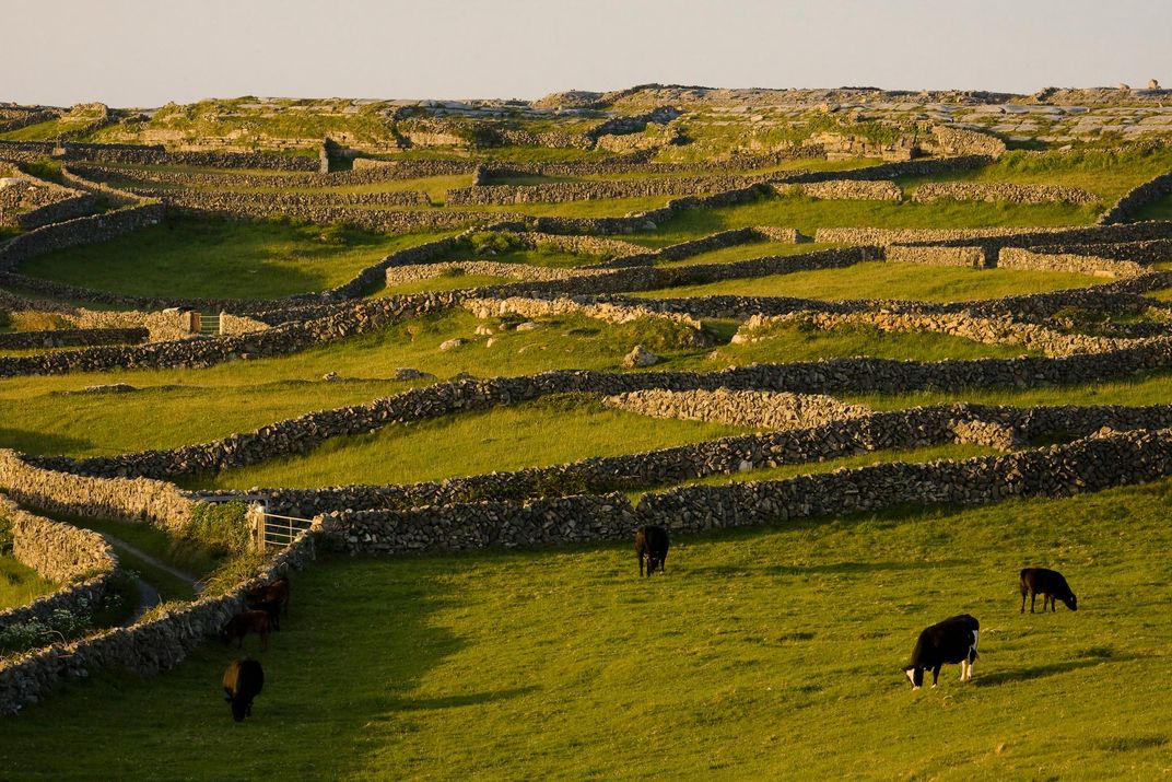 Stone fences on Inishmore at dusk