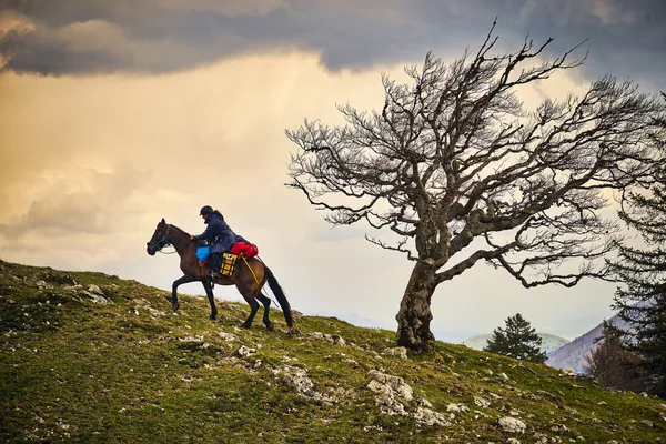 Horsetrekking in the Swiss Jura thumbnail