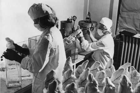 Technicians at Canada's main polio vaccine supplier at the time, Connaught Laboratories, working on a step of vaccine formulation in 1955.
