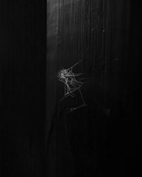 Chandelier thumbnail