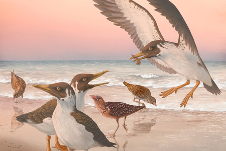 Artist&rsquo;s reconstruction of&nbsp;Janavis finalidens