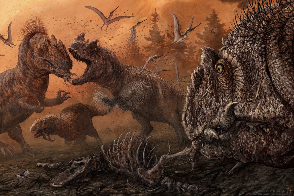 Allosaurus