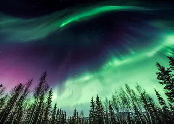 DISCOVER Alaska: Fairbanks Under the Northern Lights description