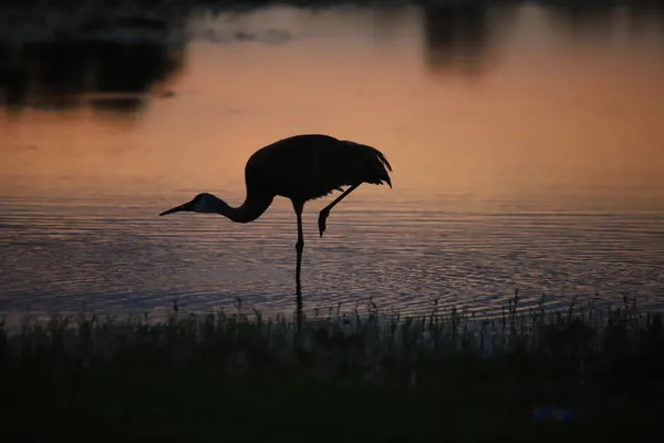 Yoga Pose at Sunset thumbnail