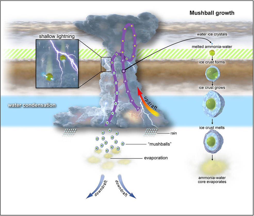 A graphic diagram showing how 'mushballs' might form in Jupiter's atmosphere, according to researchers