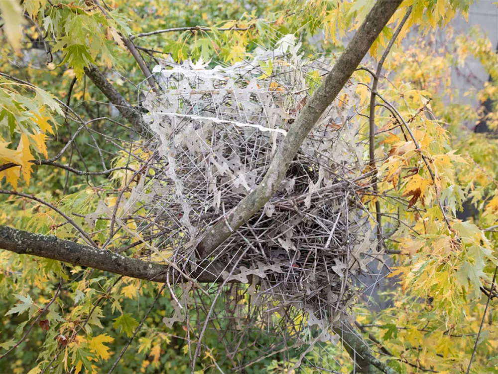 bird nest made mostly of metal spikes resting on a tree branch