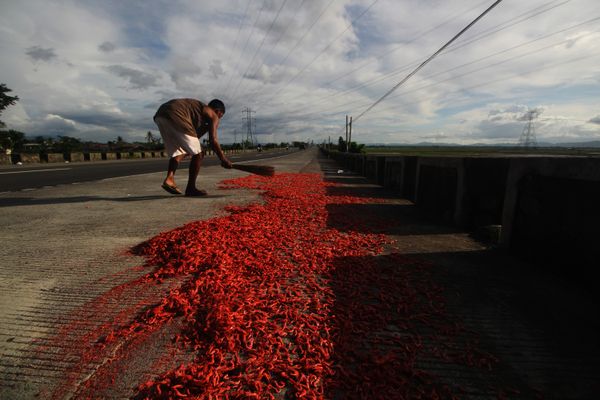 Vendor dries shrimp along the highway thumbnail