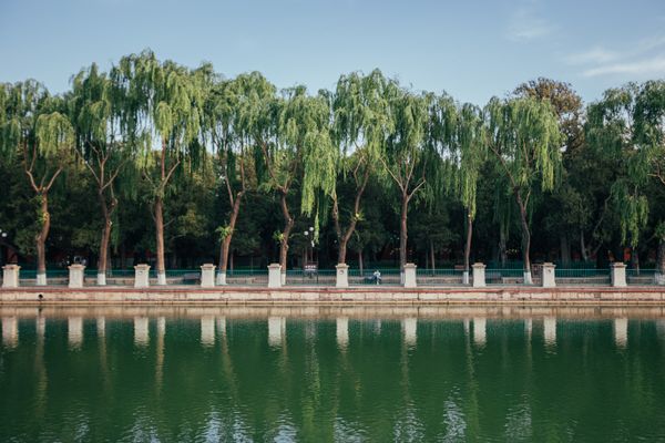 An Ode to Stillness and Scale. thumbnail