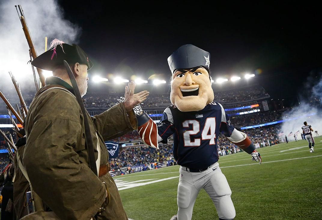 Ready for the season!  New england patriots gear, New england patriots  football, Dog people