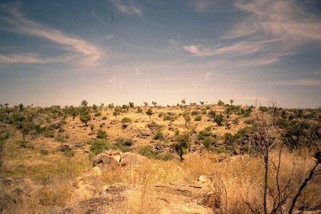 The sperm cells were found in Riversleigh, a remote spot in northwestern Australia that was once a teeming rainforest. 