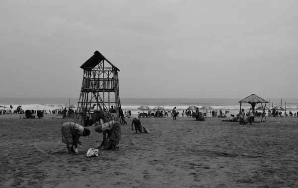 Women in Beach Cleaning Drive thumbnail