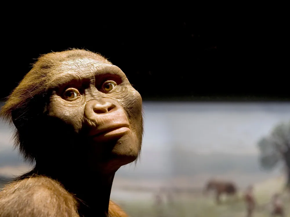 Lucy the Australopithecus Turns 41 (Plus 3.2 Million Years